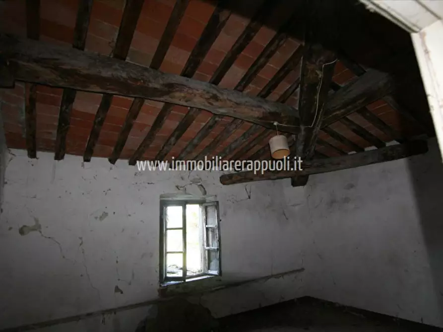 Immagine 41 di Rustico / casale in vendita  a Lucignano