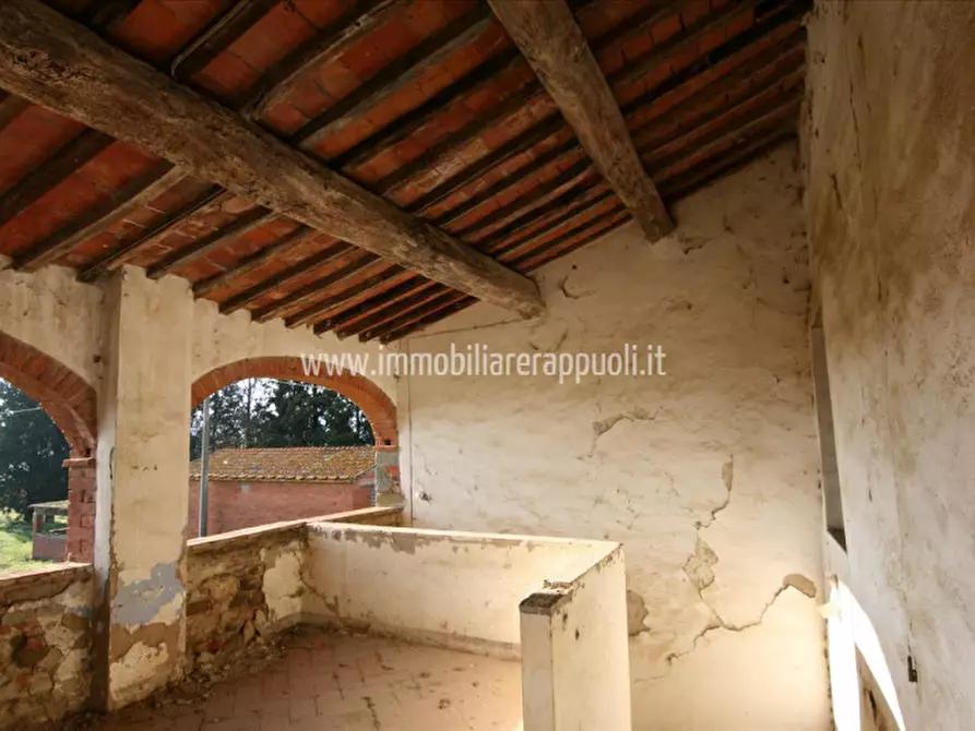 Immagine 44 di Rustico / casale in vendita  a Lucignano