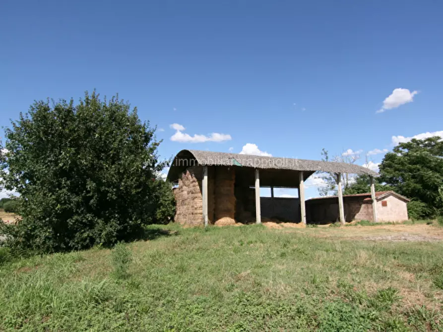 Immagine 2 di Rustico / casale in vendita  a Torrita Di Siena
