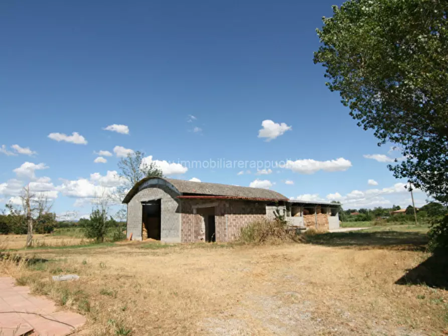 Immagine 8 di Rustico / casale in vendita  a Torrita Di Siena