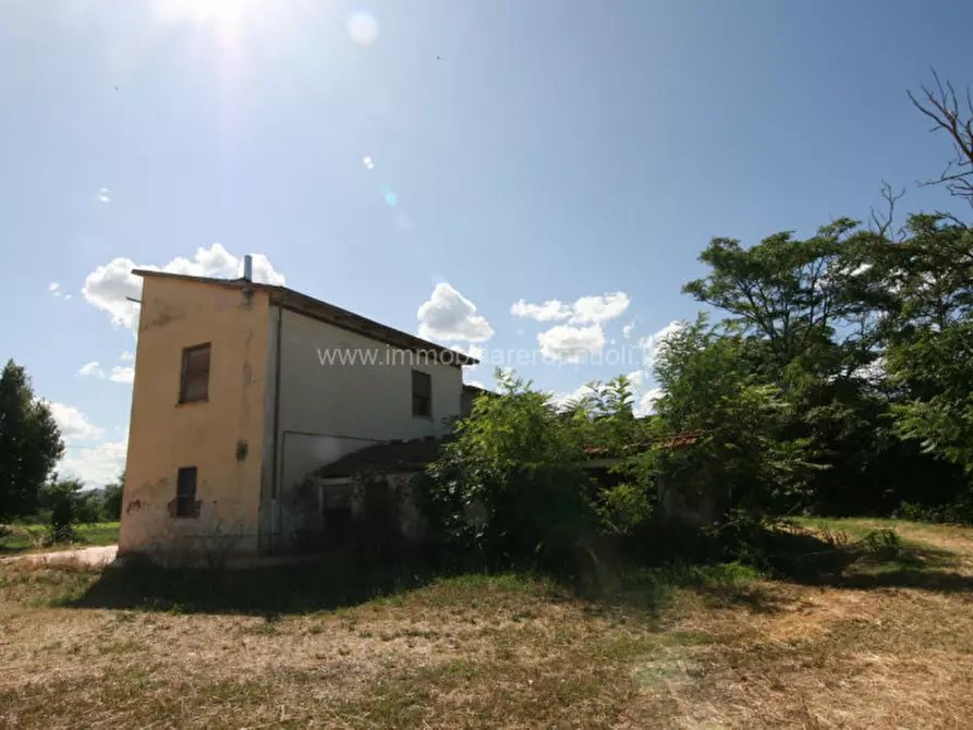 Immagine 10 di Rustico / casale in vendita  a Torrita Di Siena