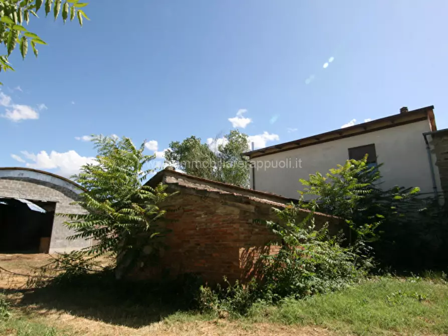 Immagine 11 di Rustico / casale in vendita  a Torrita Di Siena