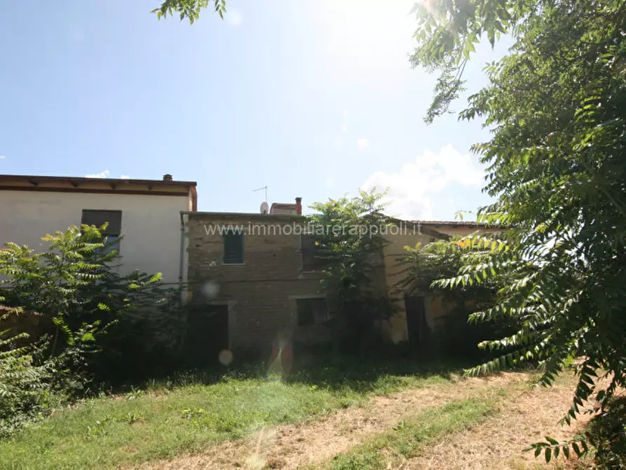 Immagine 12 di Rustico / casale in vendita  a Torrita Di Siena