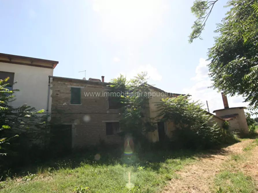 Immagine 13 di Rustico / casale in vendita  a Torrita Di Siena