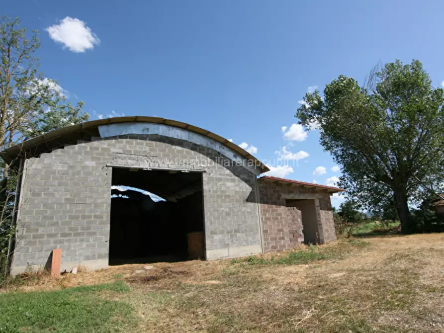 Immagine 15 di Rustico / casale in vendita  a Torrita Di Siena