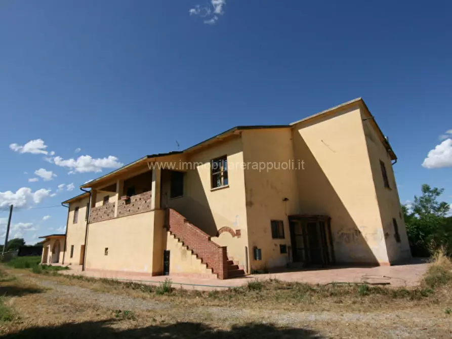 Immagine 17 di Rustico / casale in vendita  a Torrita Di Siena