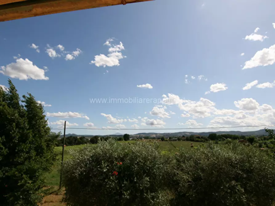 Immagine 18 di Rustico / casale in vendita  a Torrita Di Siena