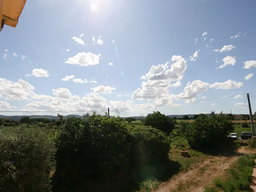 Immagine 19 di Rustico / casale in vendita  a Torrita Di Siena