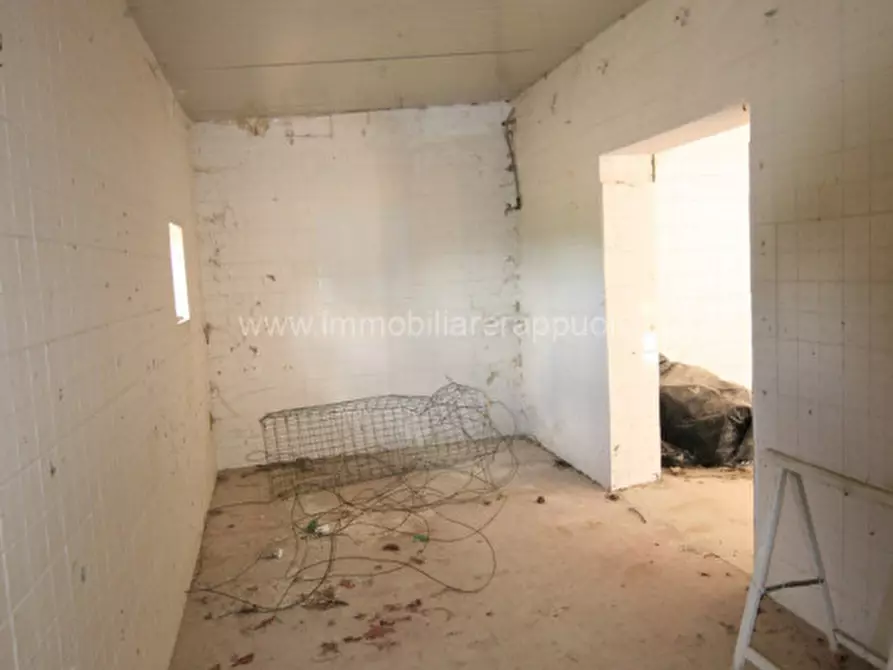 Immagine 55 di Rustico / casale in vendita  a Torrita Di Siena