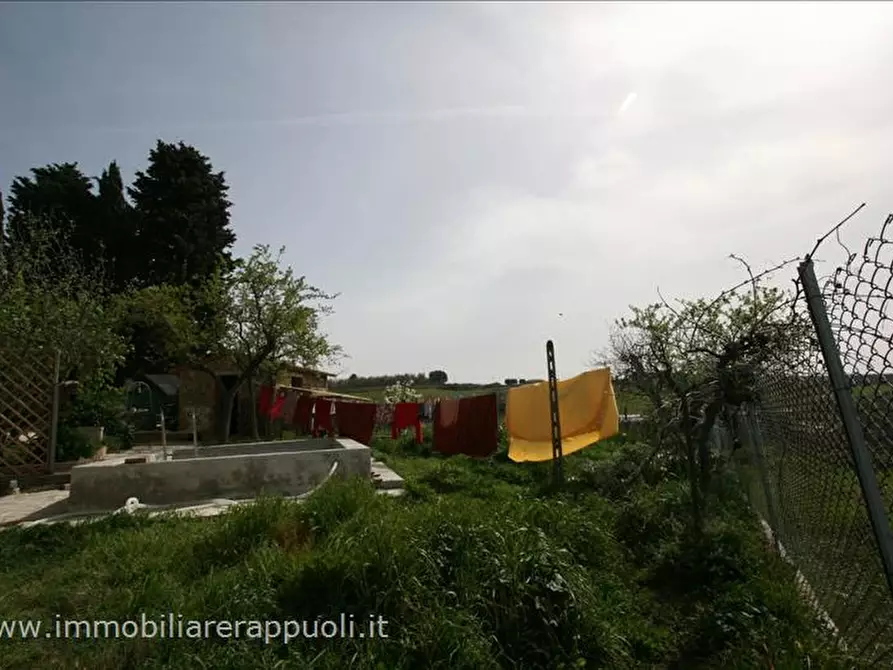 Immagine 12 di Casa indipendente in vendita  a Trequanda