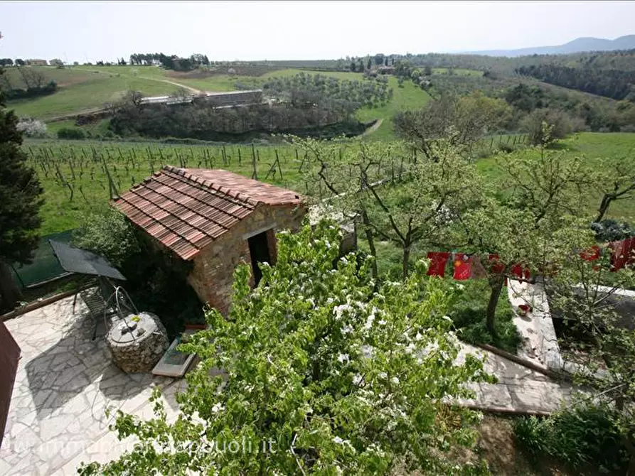 Immagine 15 di Casa indipendente in vendita  a Trequanda