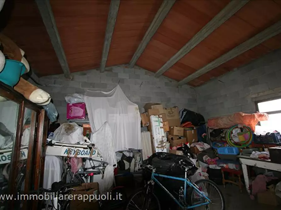 Immagine 24 di Casa indipendente in vendita  a Trequanda