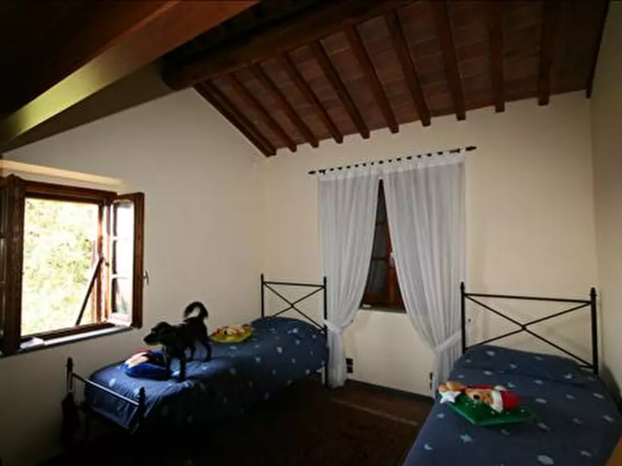 Immagine 16 di Rustico / casale in vendita  a Lucignano