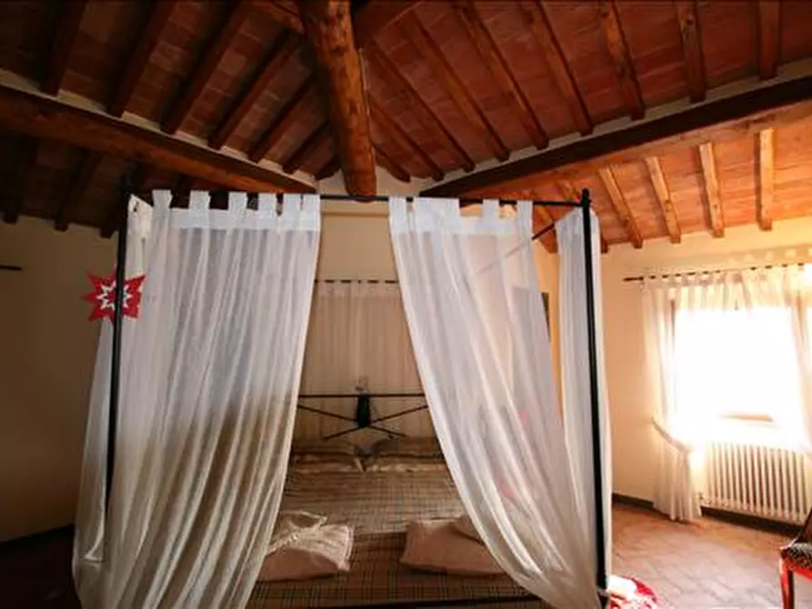 Immagine 21 di Rustico / casale in vendita  a Lucignano