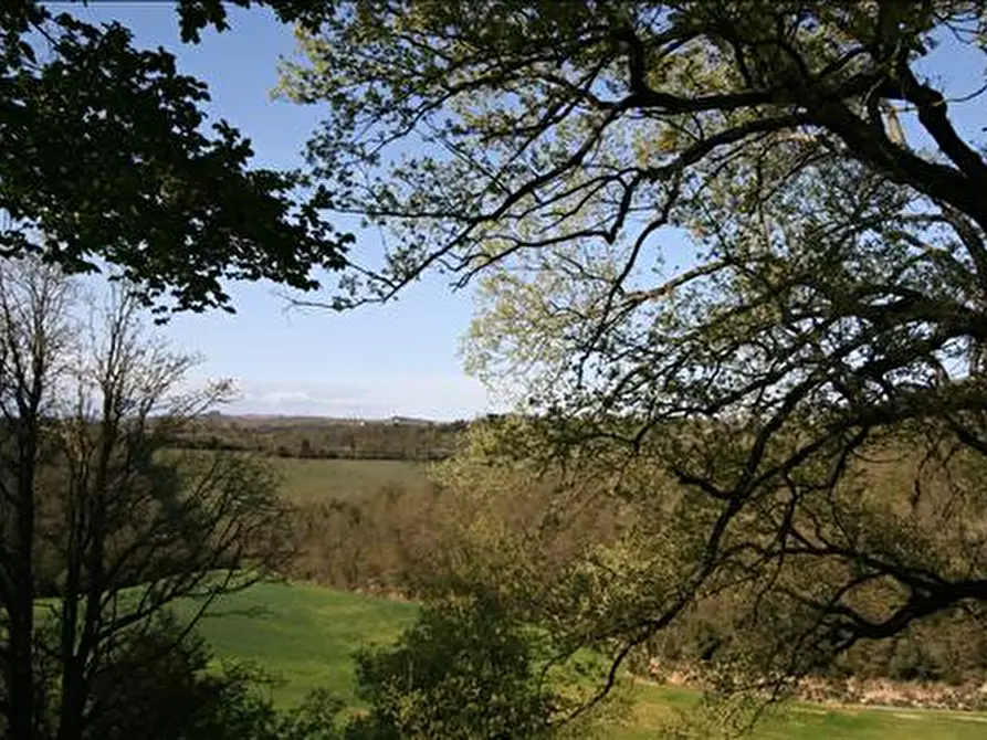 Immagine 6 di Attività commerciale in vendita  a Trequanda