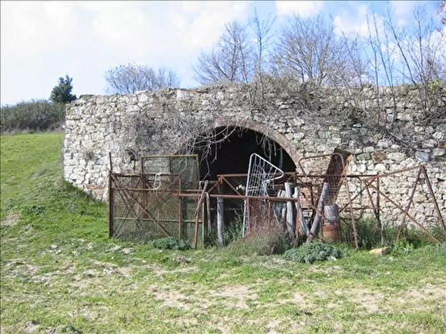 Immagine 2 di Rustico / casale in vendita  a Asciano