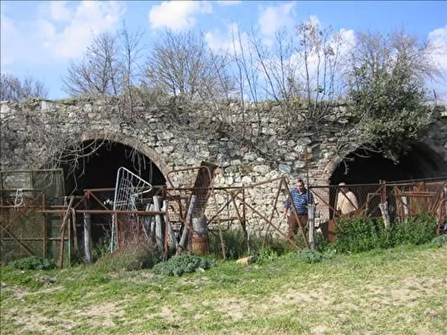 Immagine 3 di Rustico / casale in vendita  a Asciano