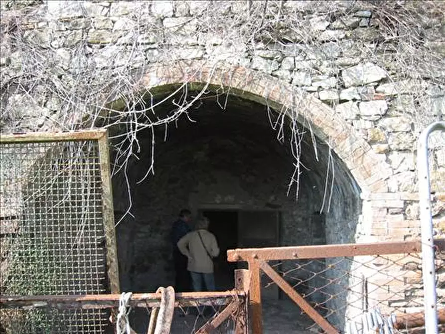 Immagine 4 di Rustico / casale in vendita  a Asciano