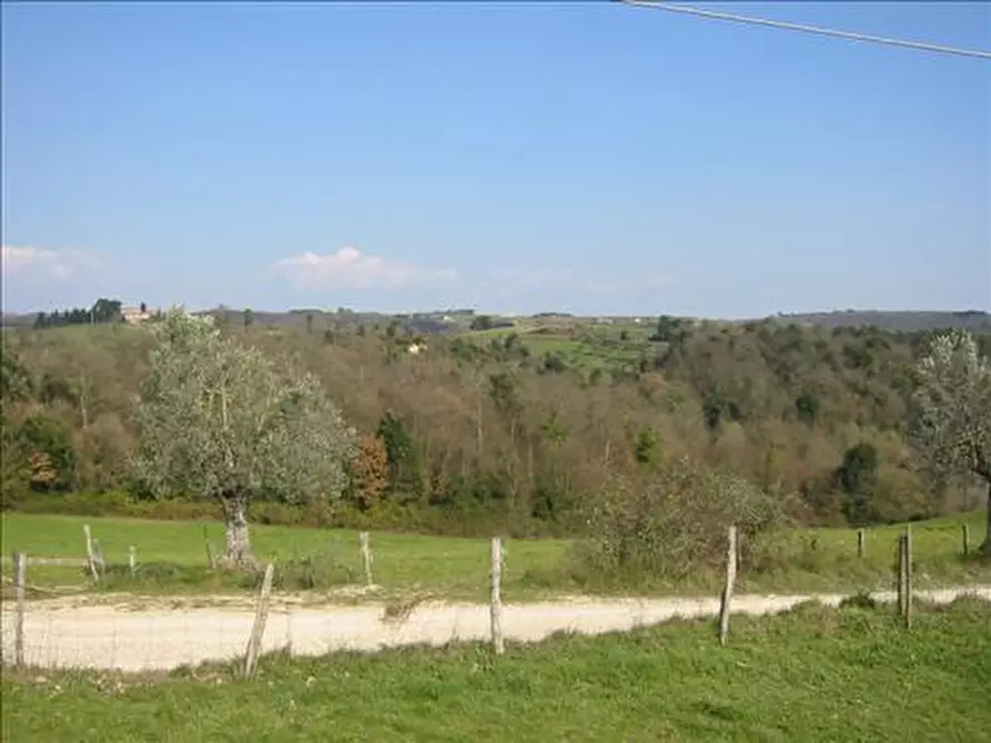 Immagine 5 di Rustico / casale in vendita  a Asciano