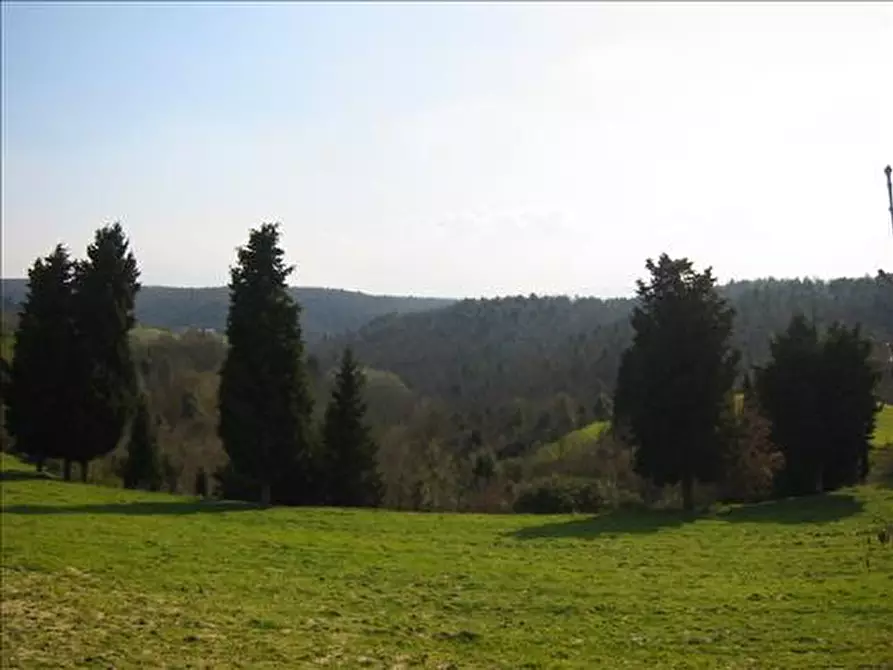 Immagine 6 di Rustico / casale in vendita  a Asciano