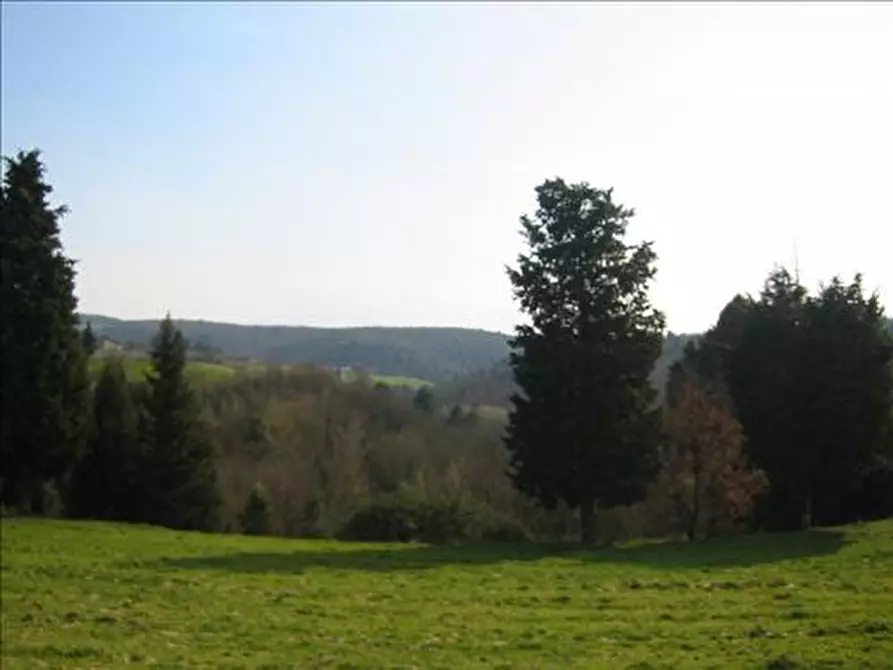 Immagine 7 di Rustico / casale in vendita  a Asciano