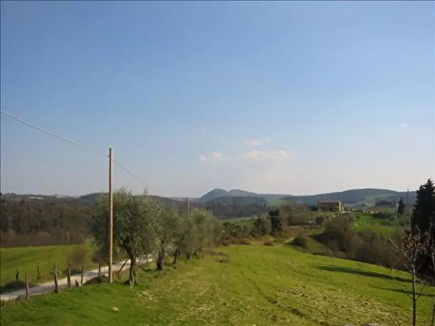 Immagine 8 di Rustico / casale in vendita  a Asciano