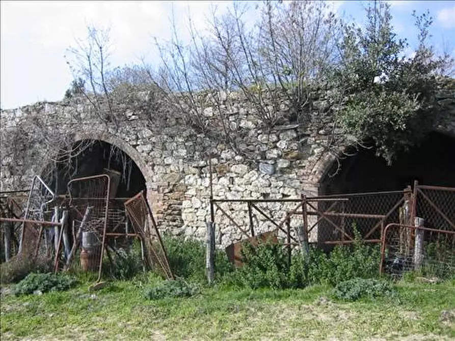 Immagine 9 di Rustico / casale in vendita  a Asciano