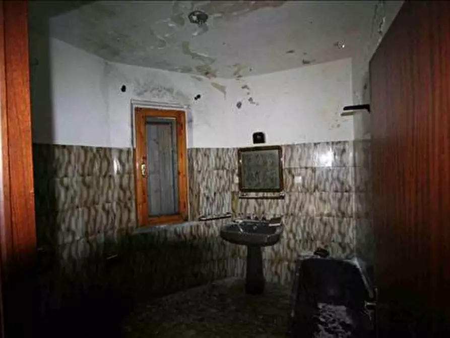 Immagine 3 di Attività commerciale in vendita  a Trequanda