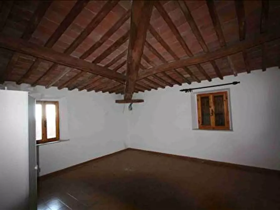 Immagine 8 di Attività commerciale in vendita  a Trequanda