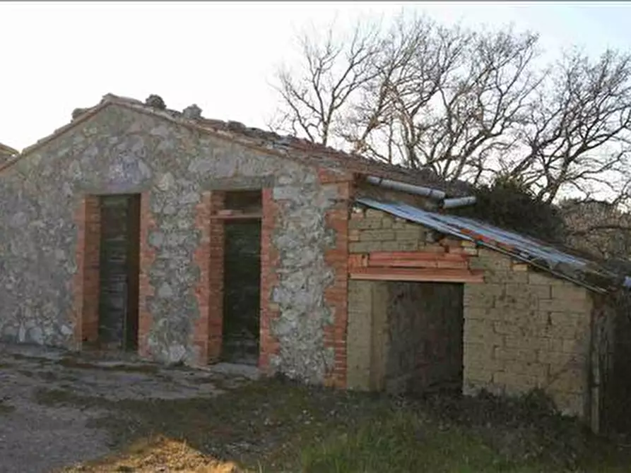 Immagine 12 di Attività commerciale in vendita  a Trequanda