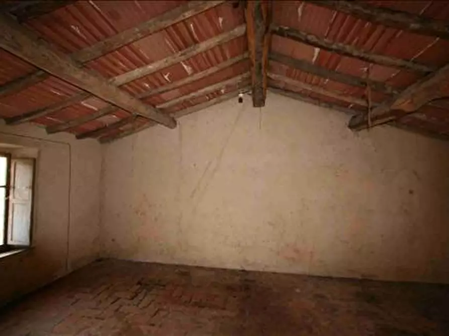 Immagine 13 di Attività commerciale in vendita  a Trequanda