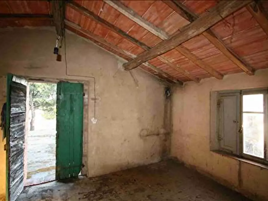 Immagine 14 di Attività commerciale in vendita  a Trequanda