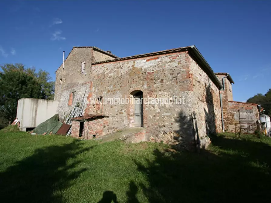 Immagine 3 di Rustico / casale in vendita  a Trequanda