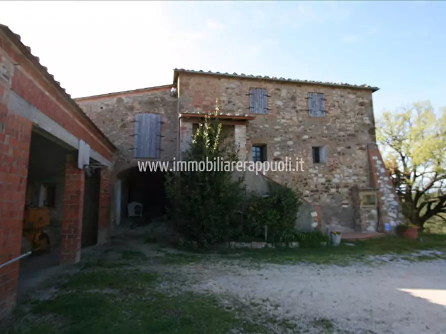 Immagine 4 di Rustico / casale in vendita  a Trequanda