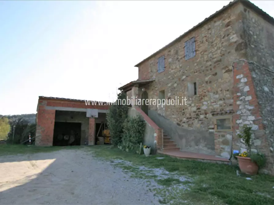 Immagine 5 di Rustico / casale in vendita  a Trequanda