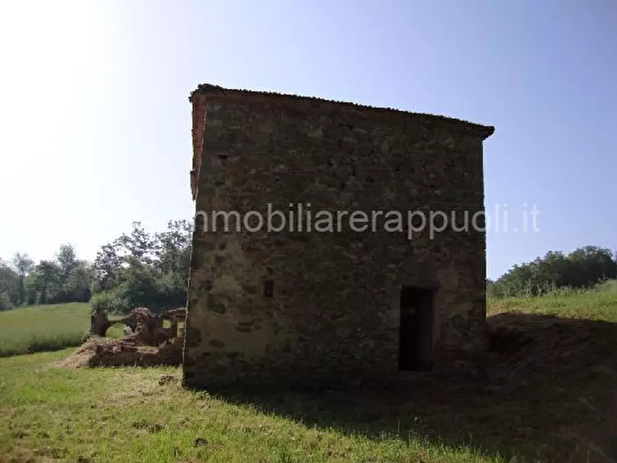 Immagine 6 di Rustico / casale in vendita  a Torrita Di Siena