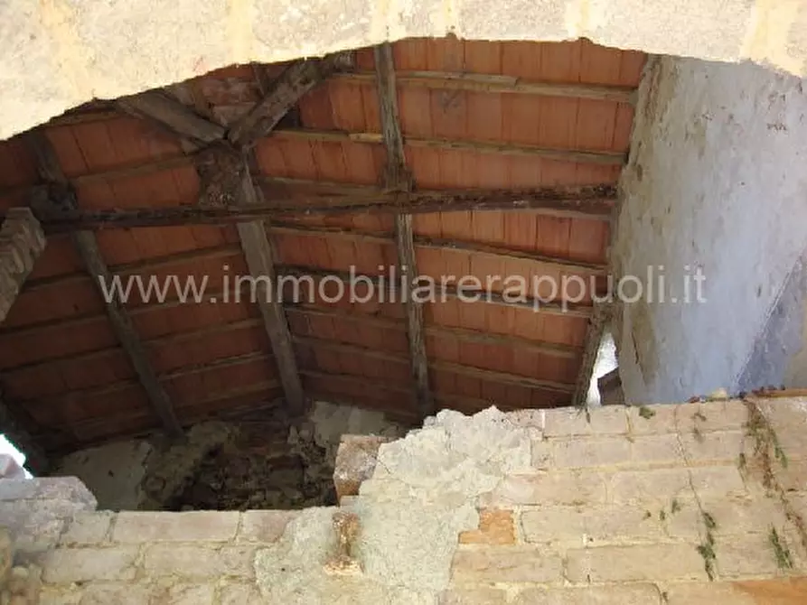 Immagine 8 di Rustico / casale in vendita  a Torrita Di Siena