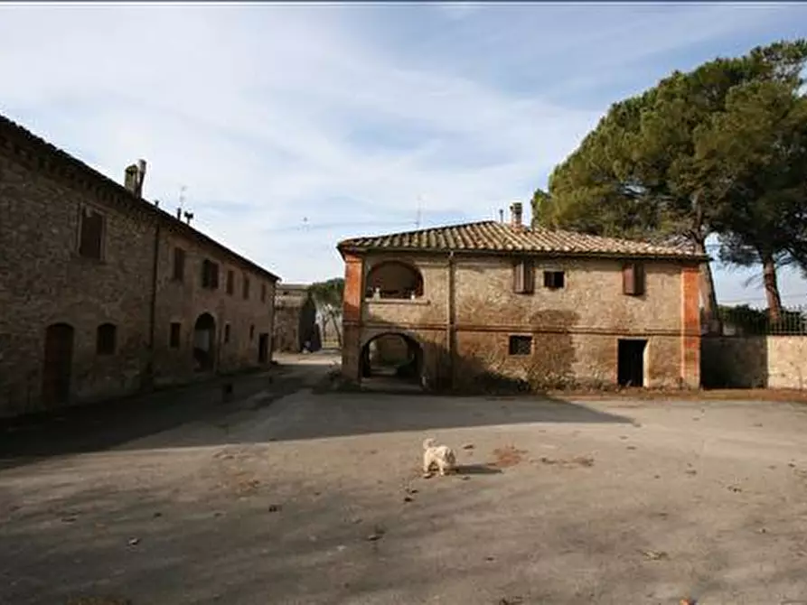 Immagine 4 di Attività commerciale in vendita  a Siena