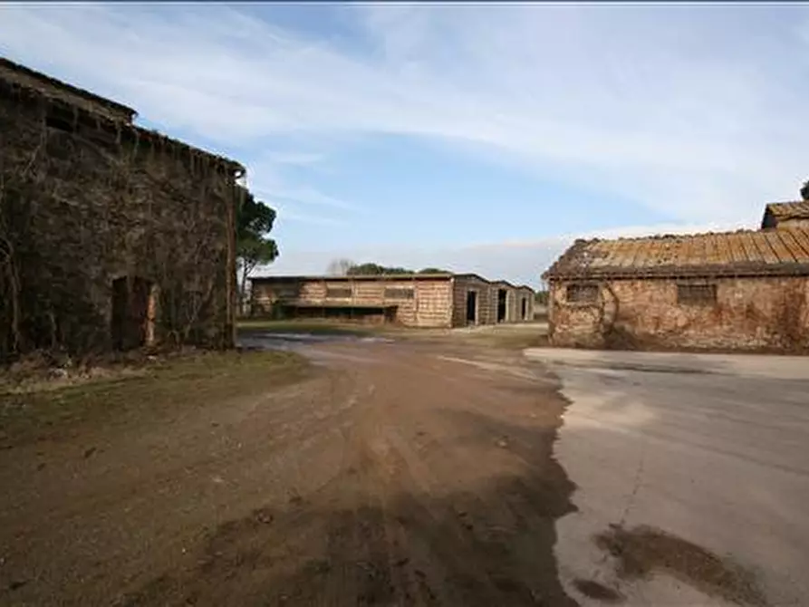 Immagine 11 di Attività commerciale in vendita  a Siena