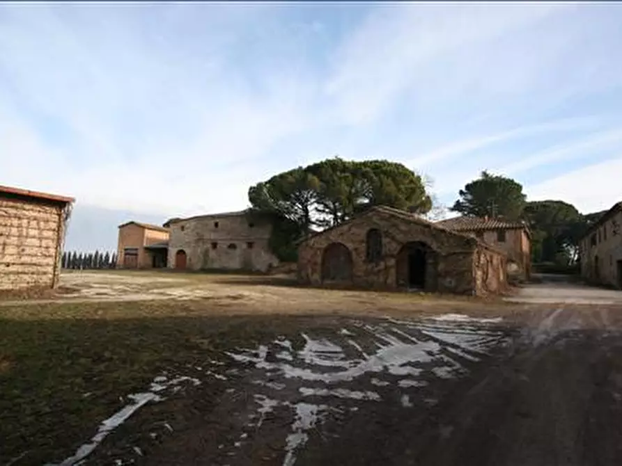 Immagine 13 di Attività commerciale in vendita  a Siena