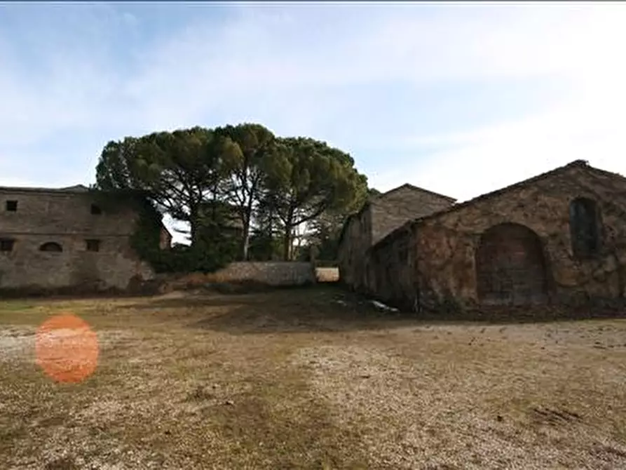 Immagine 15 di Attività commerciale in vendita  a Siena