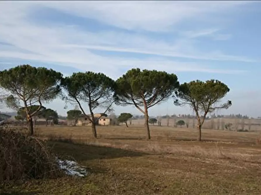 Immagine 17 di Attività commerciale in vendita  a Siena