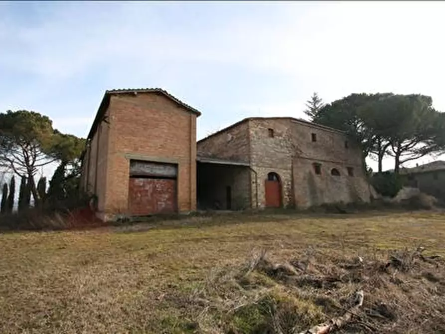 Immagine 18 di Attività commerciale in vendita  a Siena