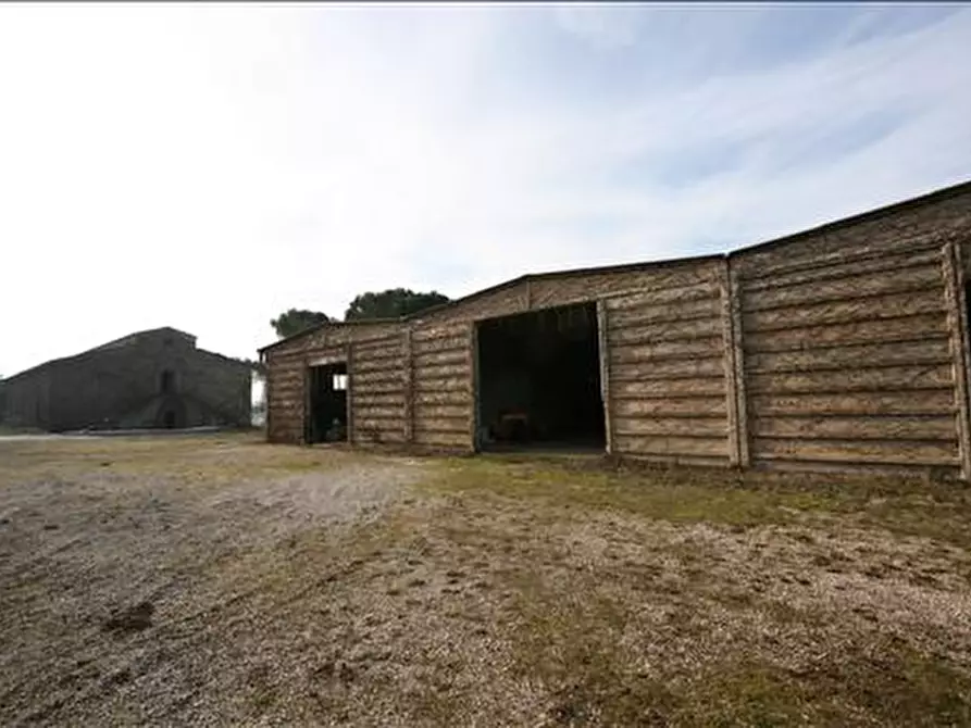 Immagine 20 di Attività commerciale in vendita  a Siena