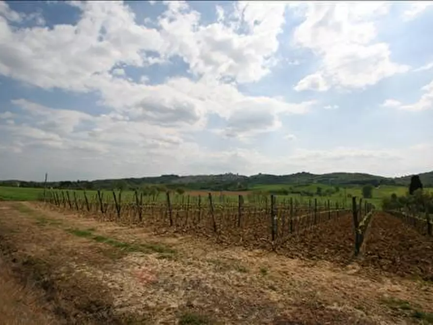 Immagine 3 di Casa indipendente in vendita  a Lucignano