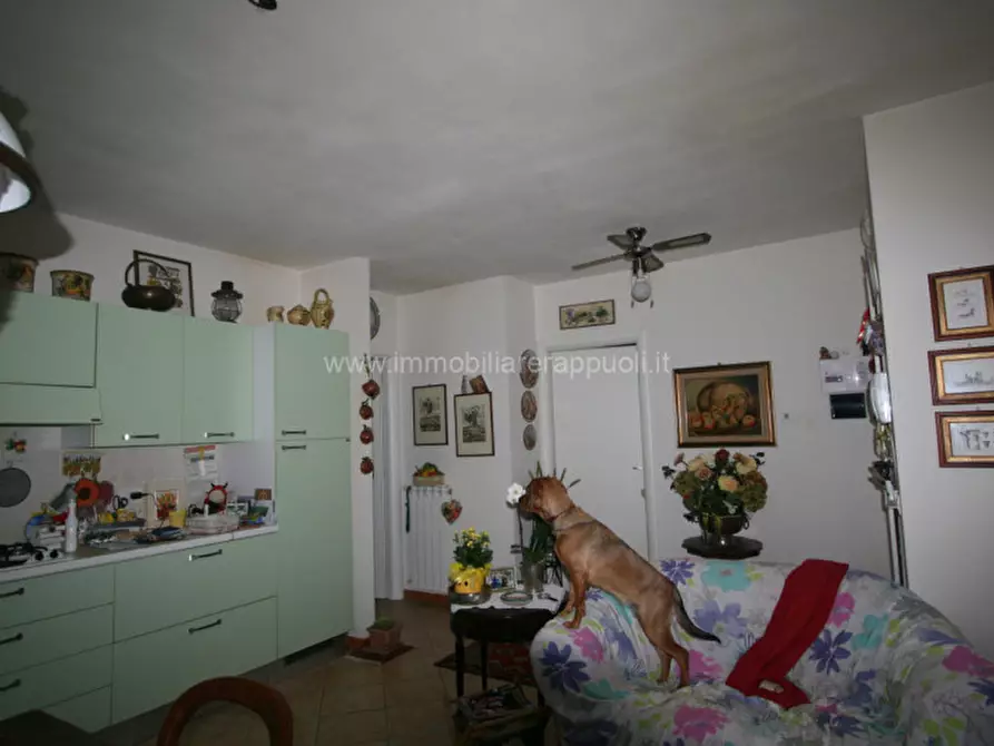 Immagine 3 di Appartamento in vendita  a Torrita Di Siena