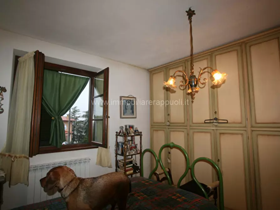 Immagine 7 di Appartamento in vendita  a Torrita Di Siena