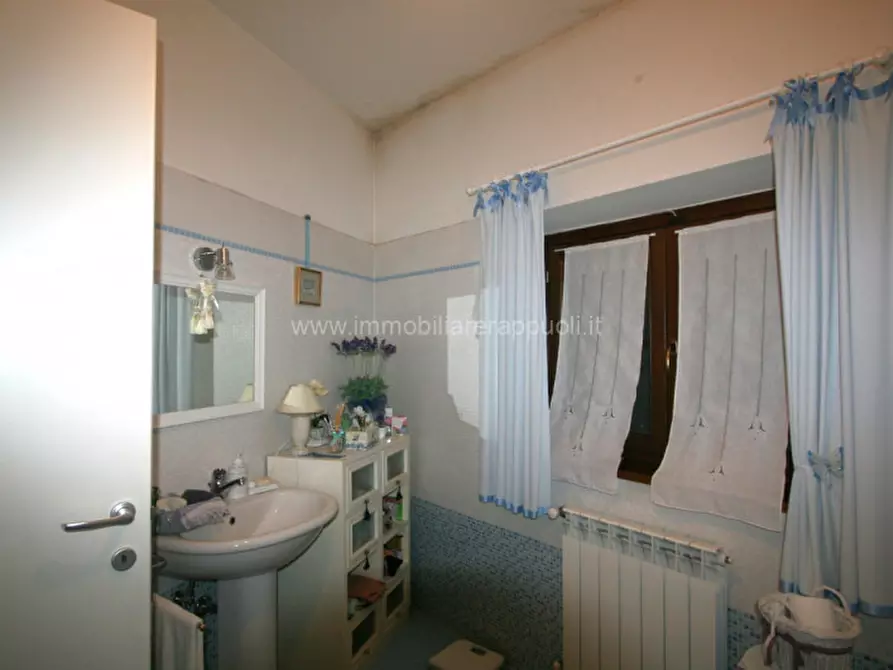 Immagine 9 di Appartamento in vendita  a Torrita Di Siena