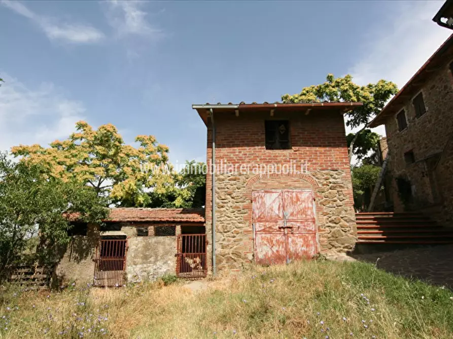Immagine 8 di Casa indipendente in vendita  a Trequanda