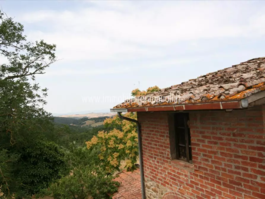 Immagine 21 di Casa indipendente in vendita  a Trequanda